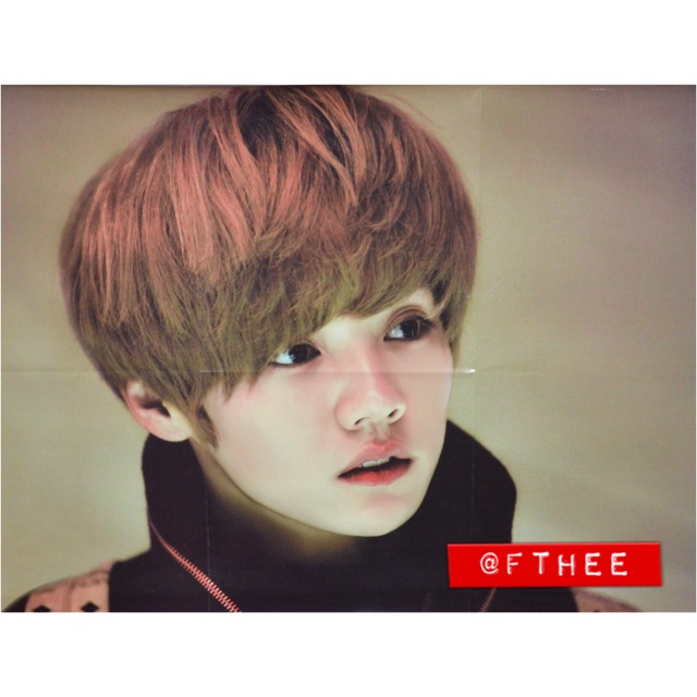 LUHAN POSTER [ORI From Fansite]