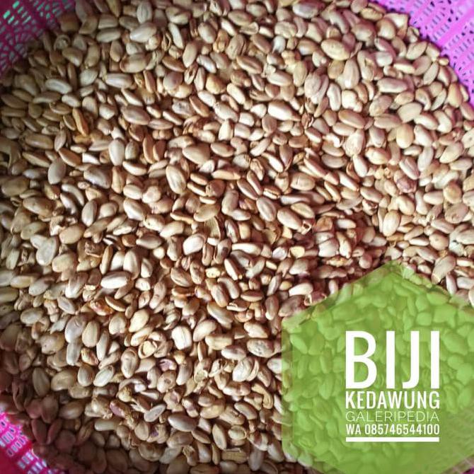 

PALING DICARI BIJI KEDAWUNG MURNI 1KG KEDAUNG MATANG - MURNI 1KG