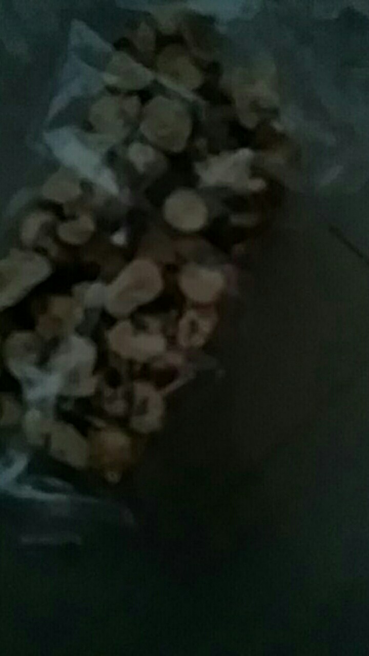 Binatang Campur Vynil 6 Pcs