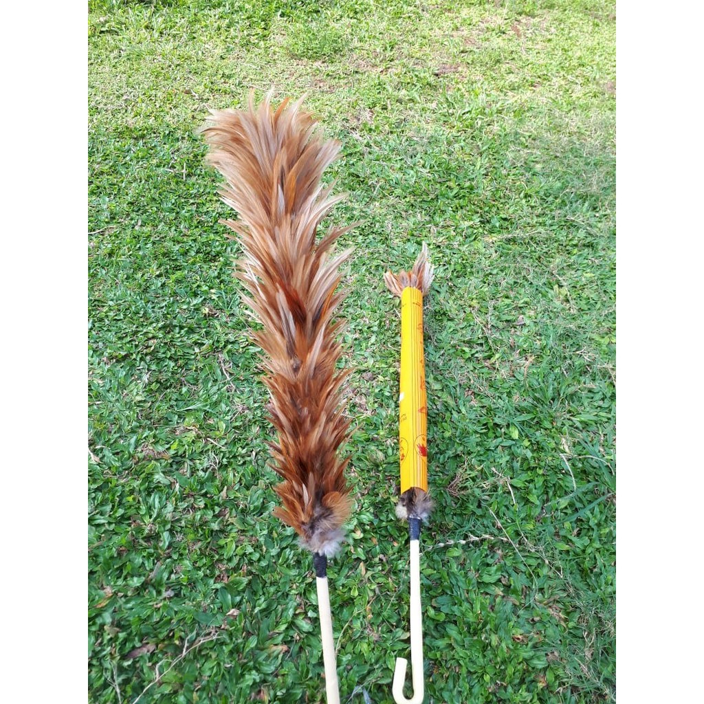 KEMOCENG BULU AYAM JAGO