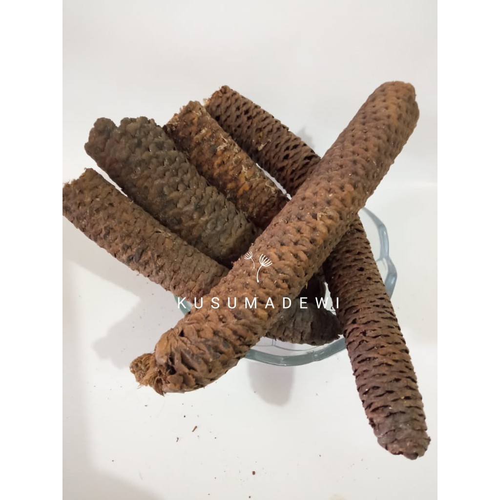 

Kayu Wolo / Kayu Lanang / Oroxylum indicum 1kg