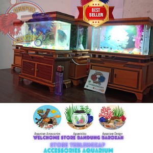 Aquarium ikan cupang/Aquarium mini/Aquarium kecil/Aquarium ikan hias/ non full