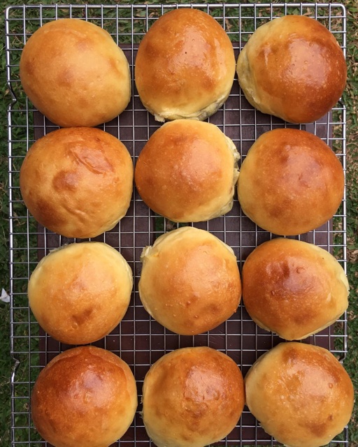 

Burger Buns