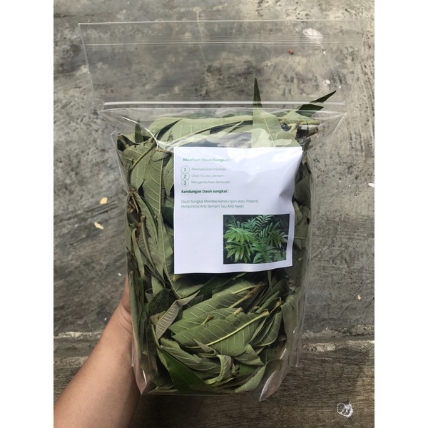 

daunsungkaiherbal