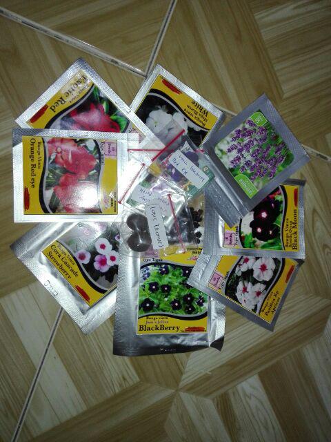 Benih Vinca Cora Cascade Strowberry Tegak 10 Biji – Kemasan Foil