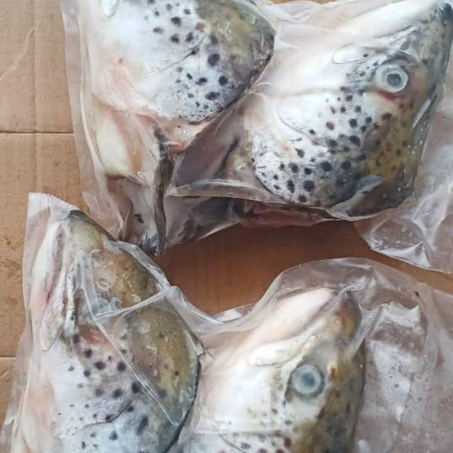 

Kepala salmon