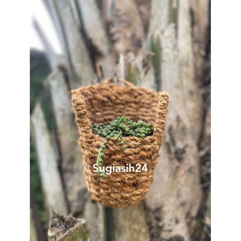 KEREN POT SABUT ANYAMAN