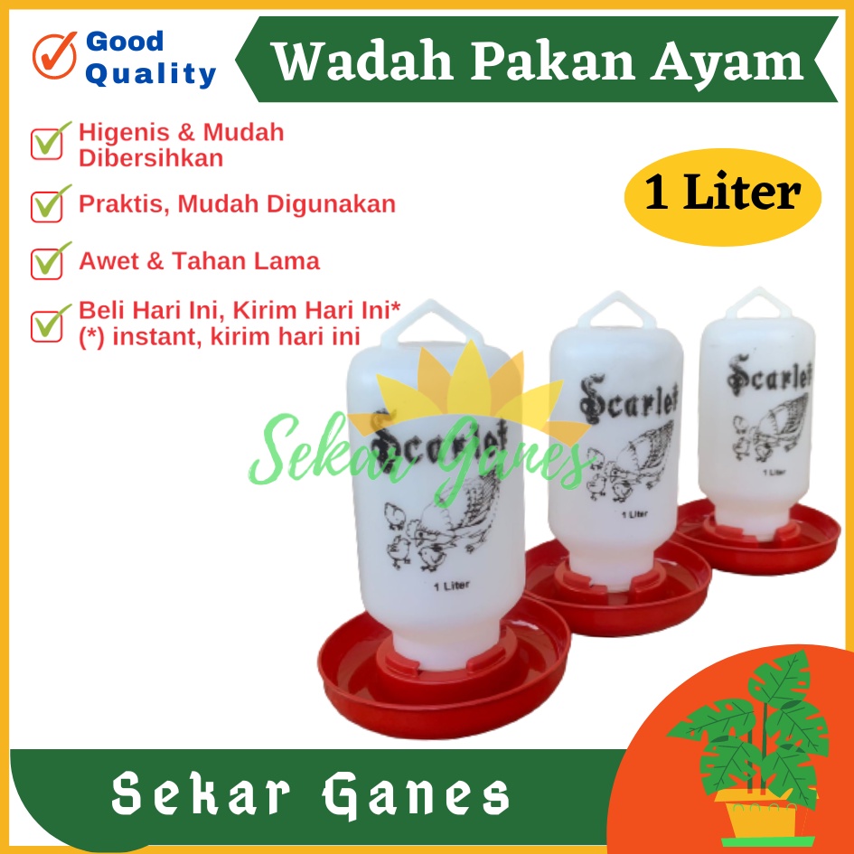 Tempat Makan Ayam Kapasitas 1 Liter 1 Kg SCARLET Wadah Pakan Ayam Anti Tumpah Ransum Wadah Makan Ayam Anakan Plastik 1 Kg - TEMPAT MAKAN AYAM / RANSUM / TRA1K MEDION KAPASITAS 1KG WADAH PAKAN AYAM TERMURAH BAHAN PLASTIK BAGUS