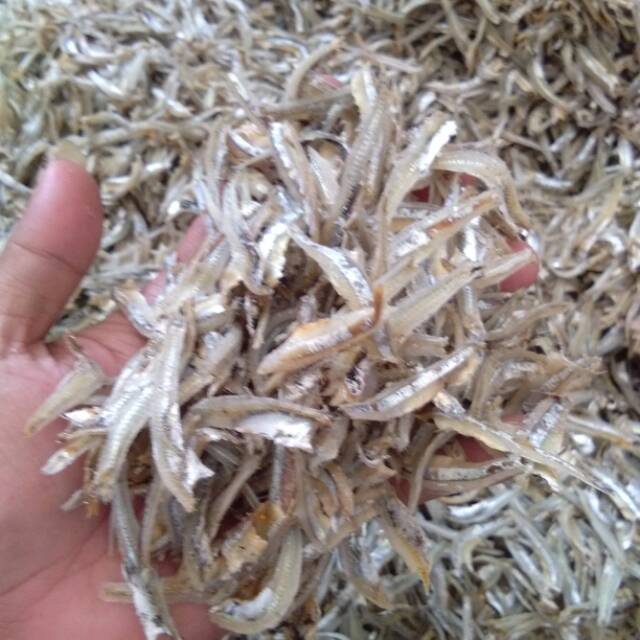 

Ikan teri belah Sibolga