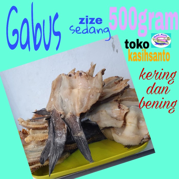 

ikan asin gabus