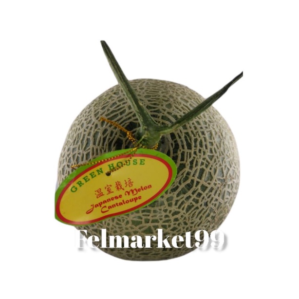 

Melon cantalope jepang original ukuran 1 kg | pcs