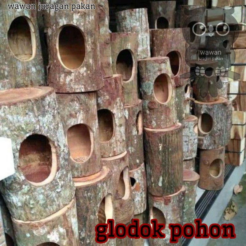 GLODOG POHON