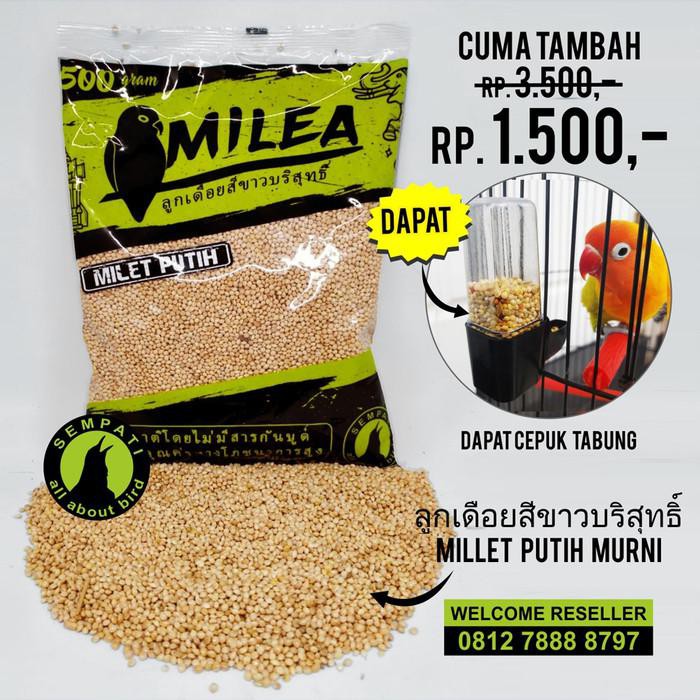 Milea Sempati + Cepuk Tabung Milet Putih Pakan Burung Lovebird Mle.Cmk