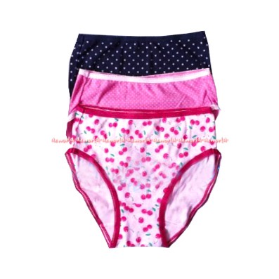 Gt Ladies 3pcs Hip Hugger Ladies Mini Celana Dalam Katun Motif Bunga GTLS-06 Gt Men Ladies Cotton Panties Flower