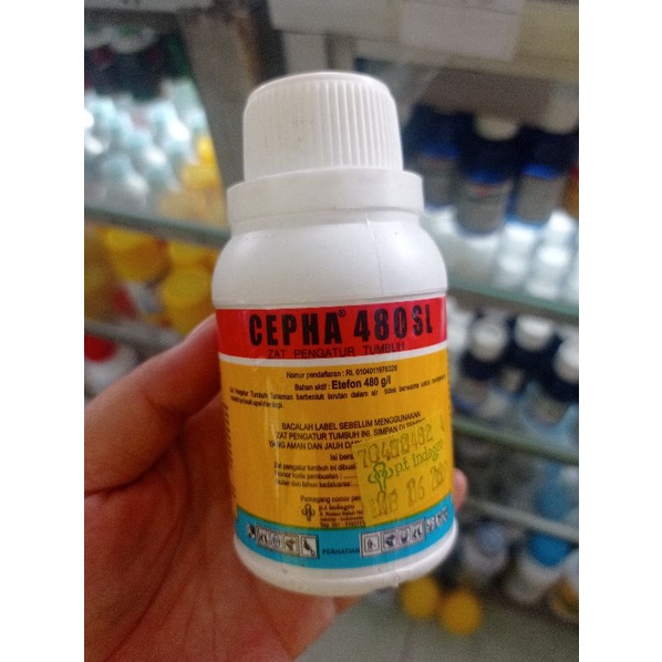CEPHA 480 SL 100ML
