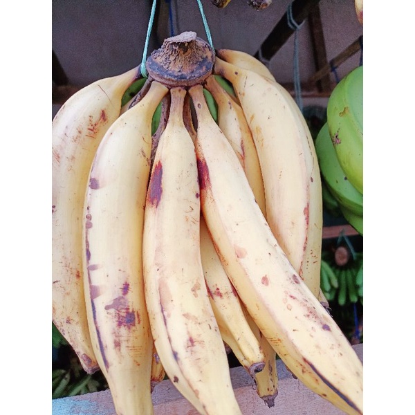 

pisang candi
