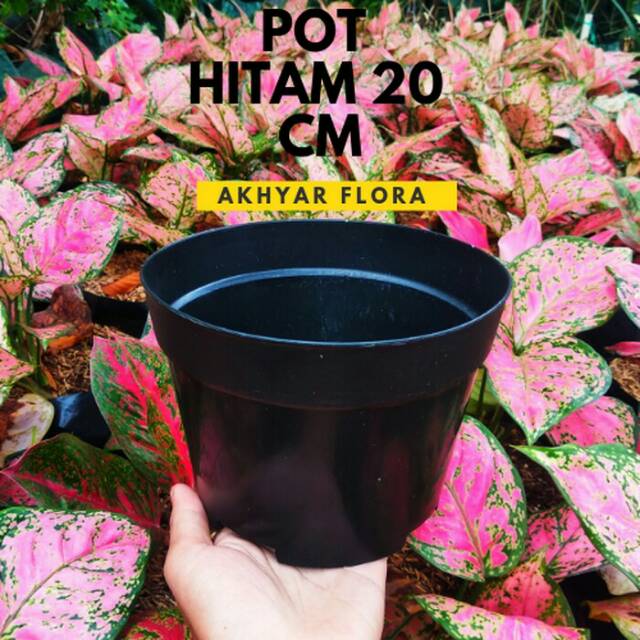 Pot Polos Plastik Hitam 20cm
