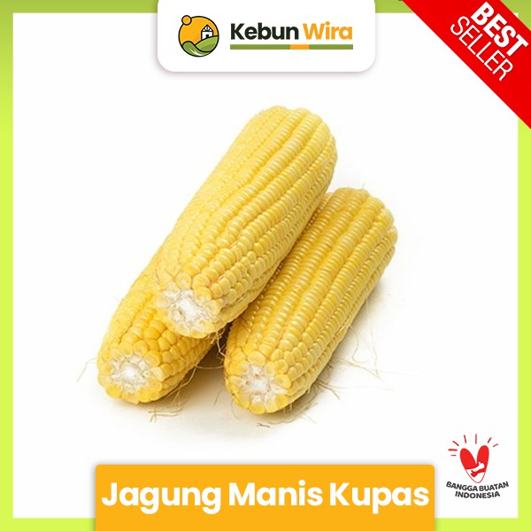 

Jagung Manis Kupas 1kg