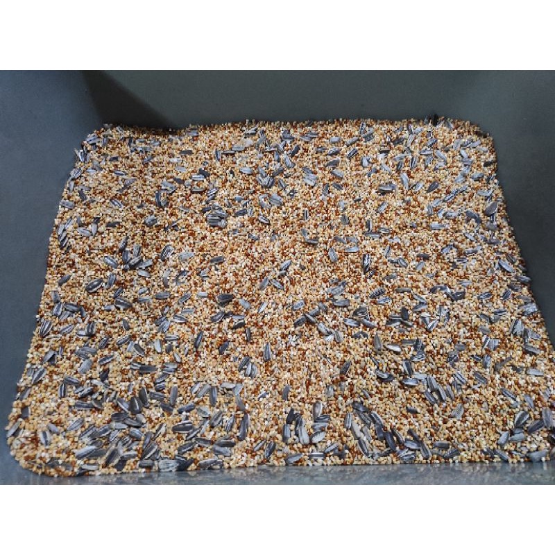 Millet campur pakan burung lovebird 500gram