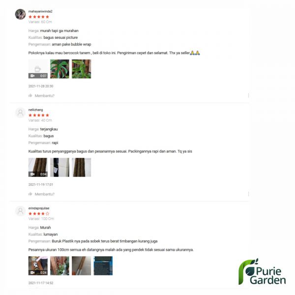 Turus Ijuk Penyangga Tiang Tanaman Rambat 48cm – K PG KDR