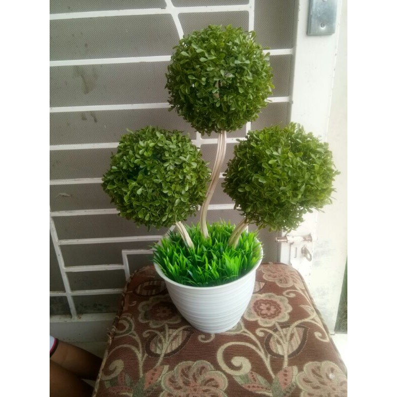 bonsai bola d18 isi 3/bola bonsai set vas/bonsai hias artificial/bonsai hias bola/bola bola bonsai m