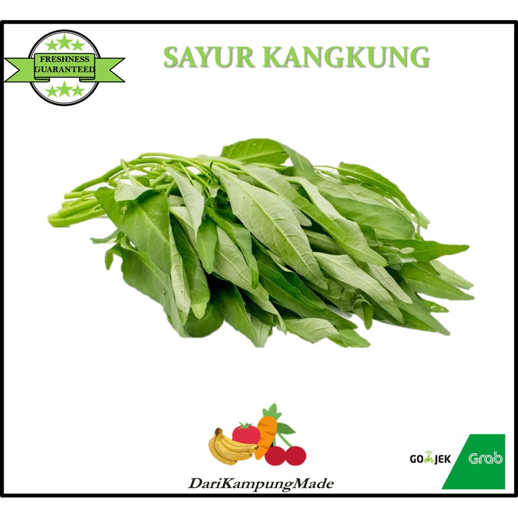 

GRAB / GOJEK ONLY / SAYUR DAUN KANGKUNG / DIJUAL PER IKAT