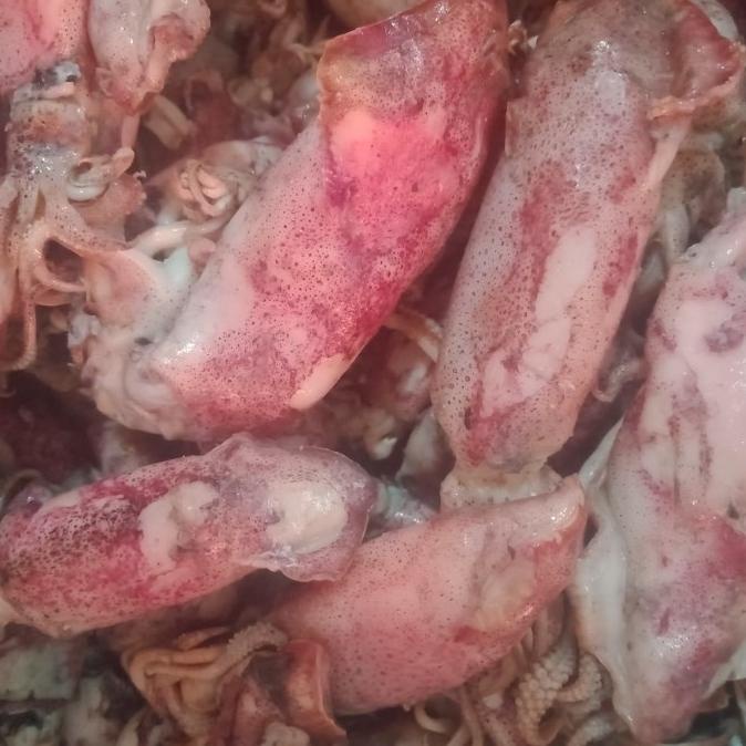 

[COD] Asin Cumi sotong kg [COD]