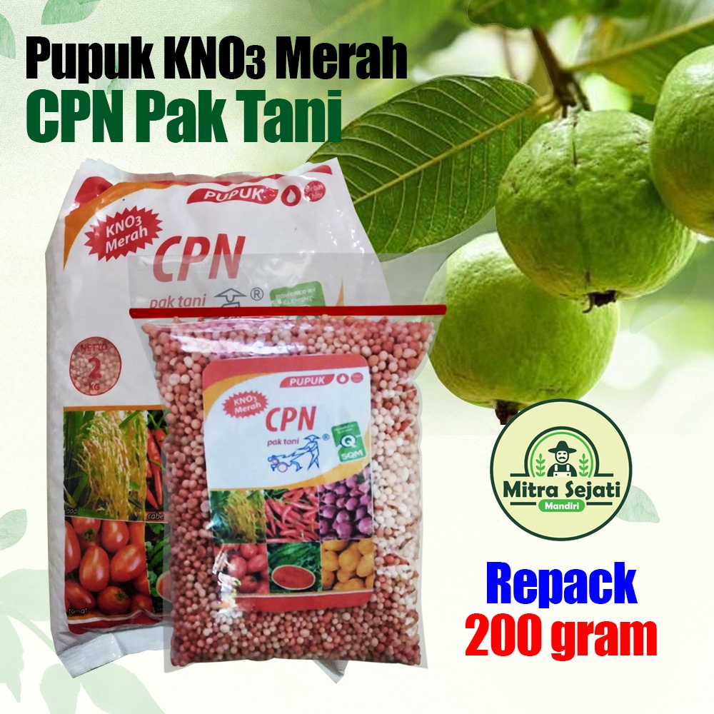 Pupuk KNO3 Merah CPN Pak Tani Kemasan Repack KNO Merah Untuk Pertumbuhan Buah Mempermanis Memperbesa