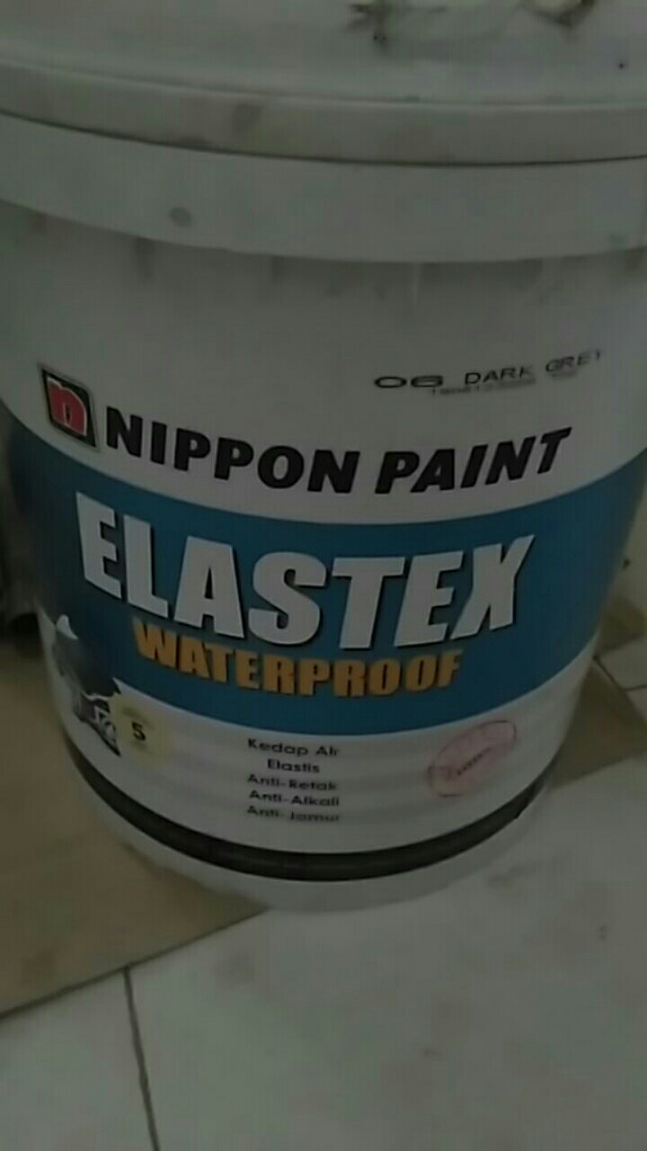 Cat Anti Bocor Waterproofing Nippon Elastex 20kg