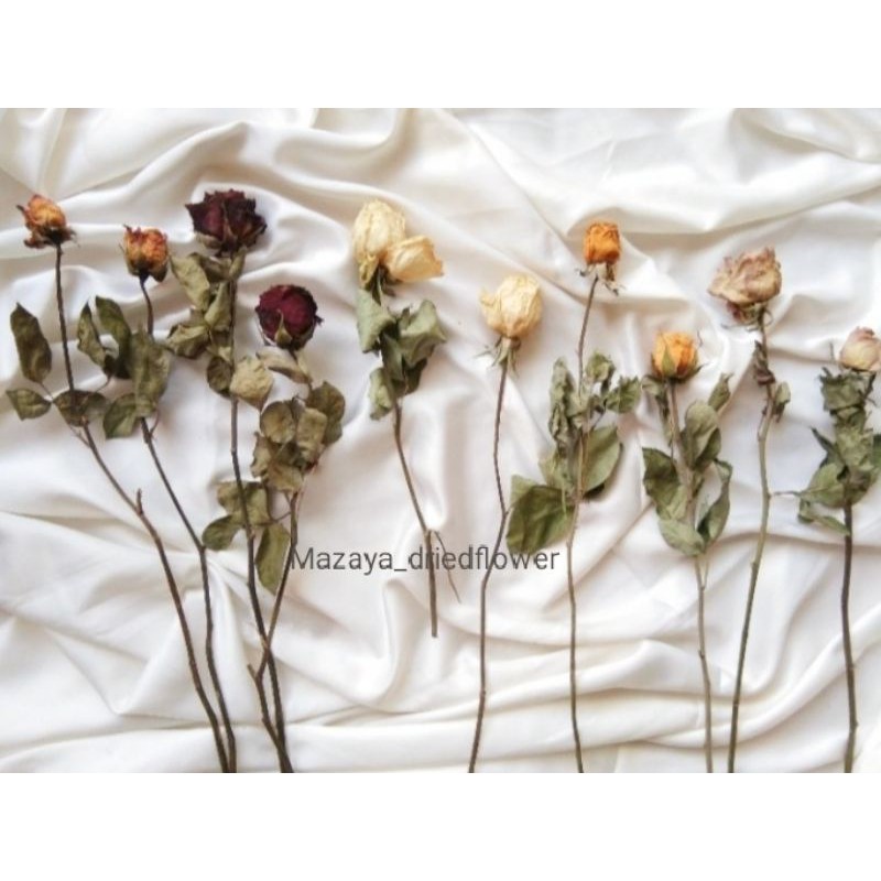 bunga mawar Kering / dried flower rose / bunga kering