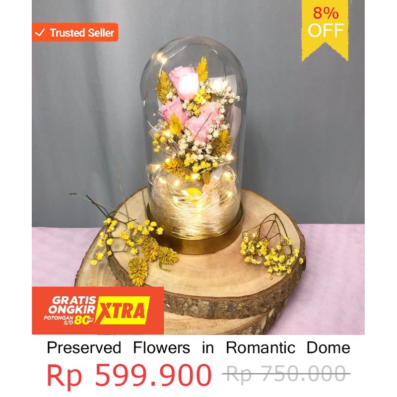 PRESERVED FLOWERS IN DOME 53