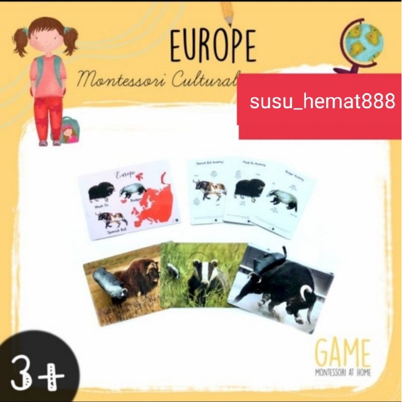 montessori cultural around the world animal set
