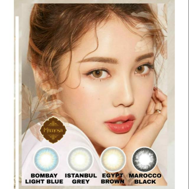 Softlens Mimosa Ready Normal  dan Minus Free Lencase Bursasoftlens