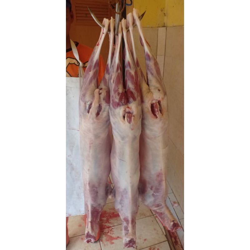 Daging Kambing Muda Karkas Fresh