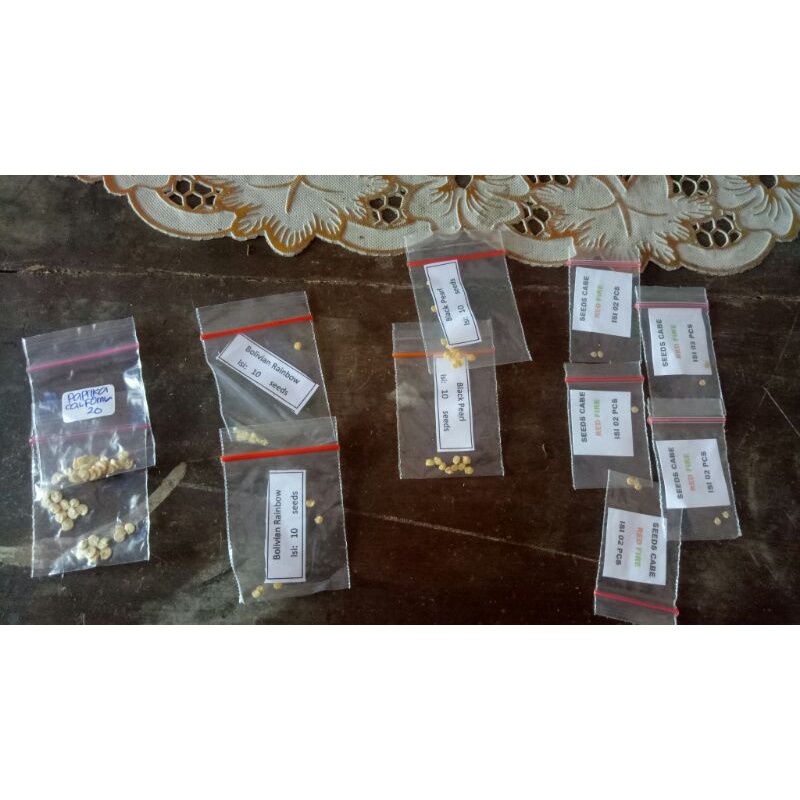 cabai rawit ungu viola