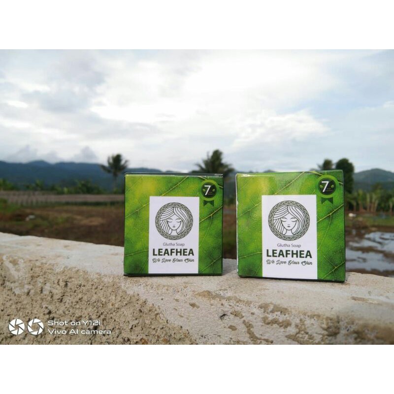 

LeafheaGluthaShoap