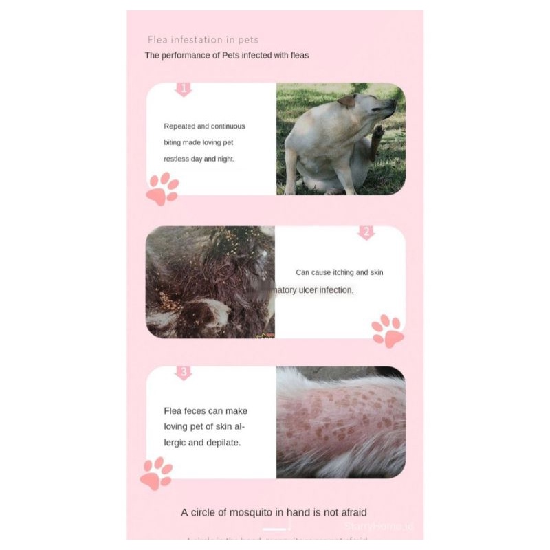 kalung anjing anti kutu