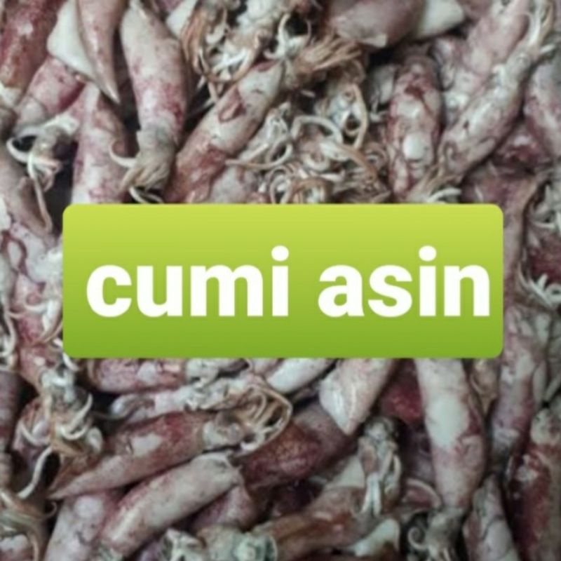 

ikan asin cumi