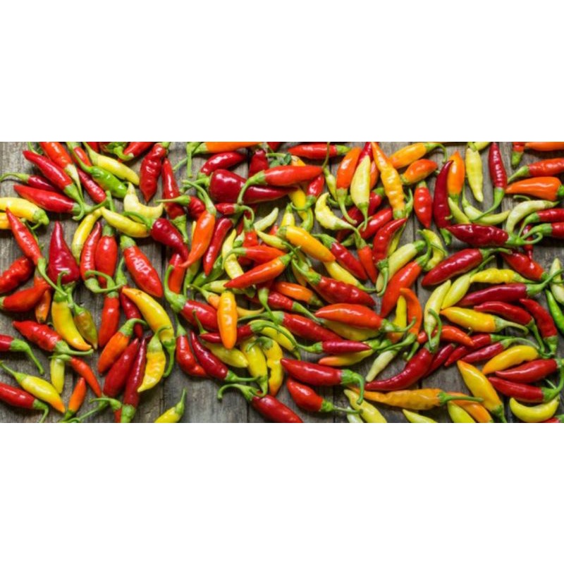 

CABE KECIL 250 GRAM