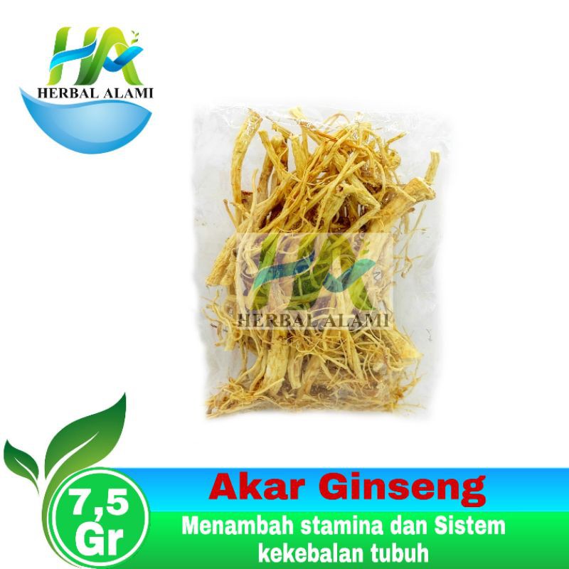 Akar Ginseng 7,5gr/Sem Si - Membantu Menambah Stamina