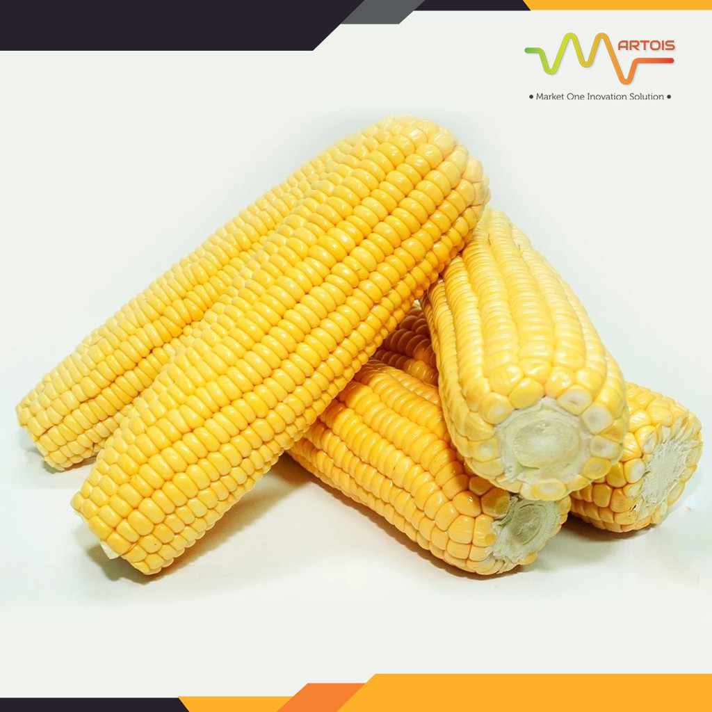 

Jagung Manis Kupas Segar / Fresh 1KG