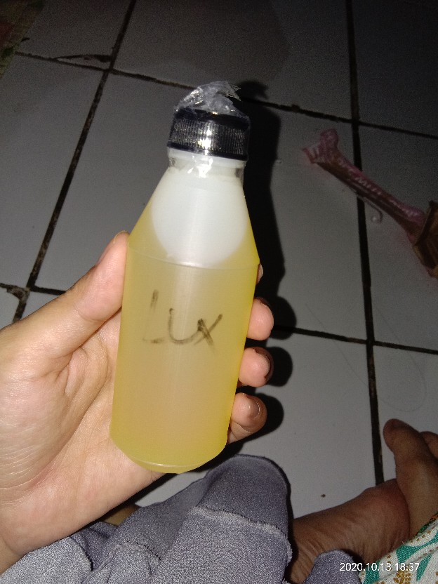 Biang Bibit Pewangi Laundry 100 Ml