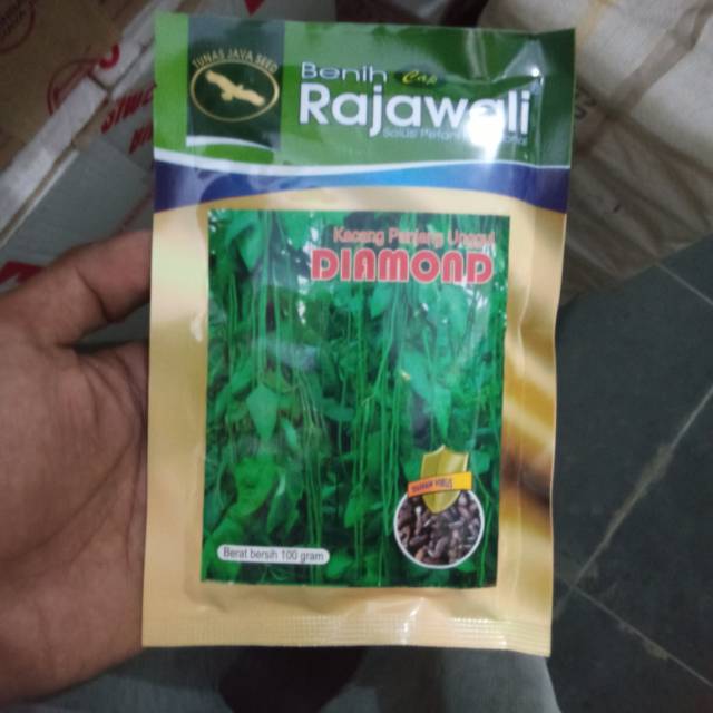 benih kacang panjang DIAMOND 100gram dari RAJAWALI SEED