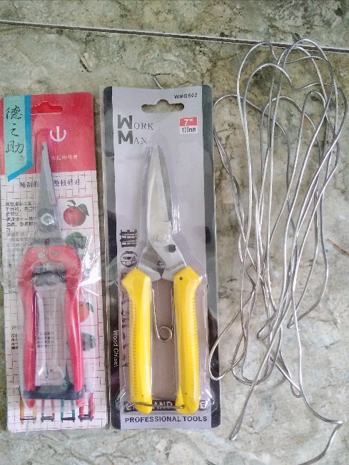 Gunting Serbaguna Venus