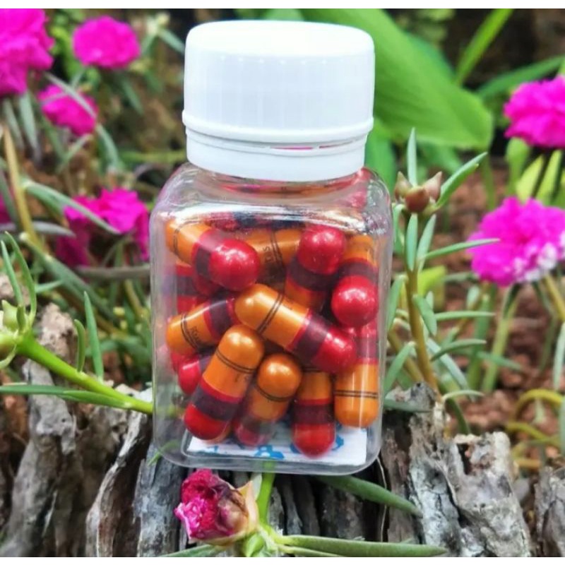 Pelangsing badan cepat ampuh Kapsul jamu pelangsing-obat pengsing-SULAMI ori diet cepat kurus Herbal