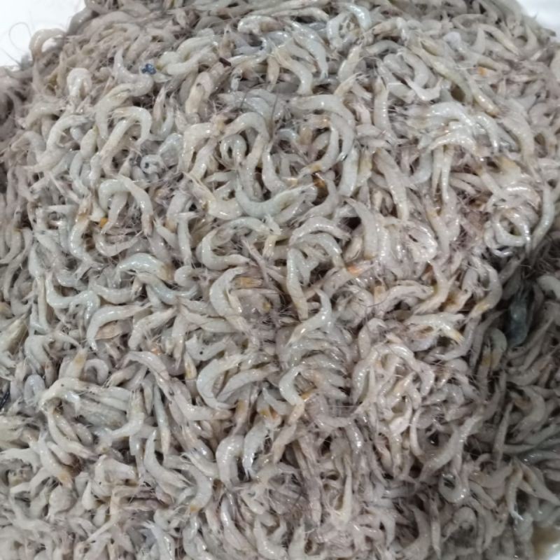 

Udang sayur segar harian/1kg