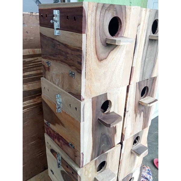 Glodok Lovebird Tampilan Mewah Big / Large Size glodok burung ukuran besar