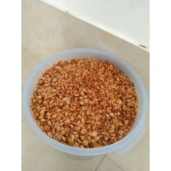 

Bawang Goreng Khas Palu 100g