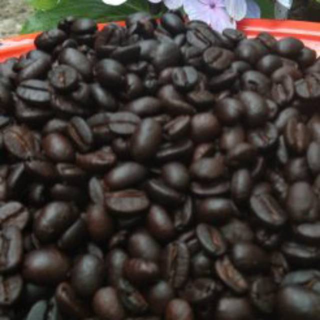 

Kopi Arabika ( kopi asli toraja )