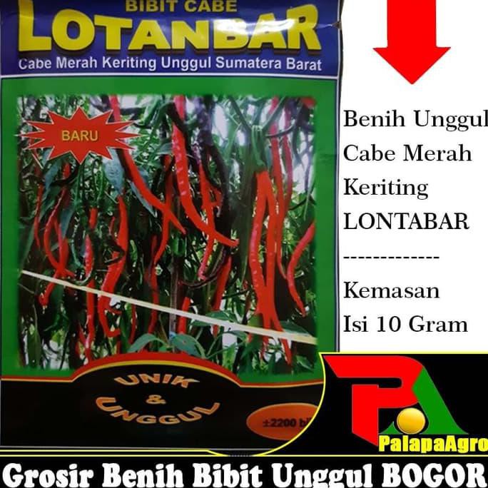 Produk Ready ( Cmk - Lotanbar ) Benih Bibit Cabe Merah Keriting Lotanbar 10Gr